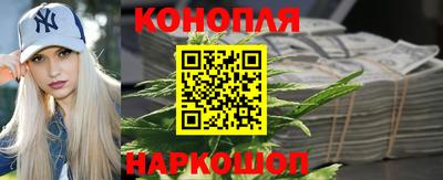 молекула духа Бийск