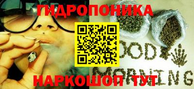 молекула духа Бийск
