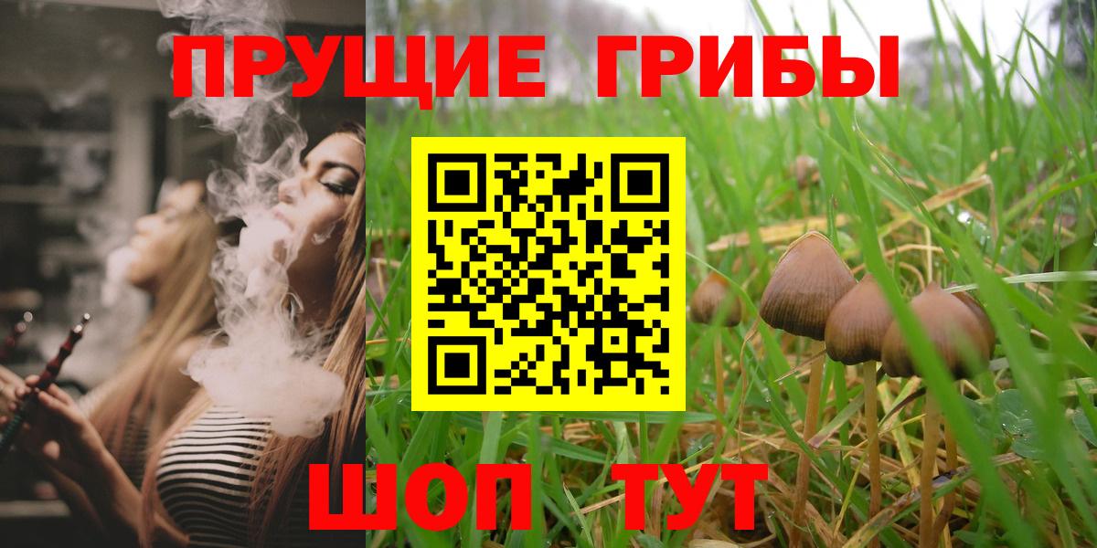 Орёл  Галлюциногенные грибы Psilocybe  Вход с VPN 